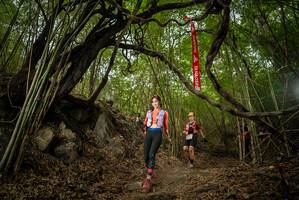 BIB: 
                            <button type="button" onclick="openModal(22178345)" class="btn btn-primary btn-sm float-right btn-popup" data-toggle="modal" data-target=".modal-high-quality">
                        <i class="fas fa-shopping-cart"></i> Add to Cart
                    </button>
                                            <button type="button" onclick="isThisMe(22178345, true)" class="btn btn-success btn-sm float-right btn-popup btn-isme hidden" data-toggle="tooltip" data-placement="bottom" title="นี่คือรูปของคุณใช่ไหม คลิกที่นี่เพื่อเอาเข้าอัลบั้ม">
                        <i class="fas fa-plus"></i> Add to album
                    </button>
                    <button type="button" onclick="isThisMe(22178345, false)" class="btn btn-warning btn-sm float-right btn-popup btn-isnotme hidden">
                        <i class="fas fa-ban"></i> Remove from album
                    </button>